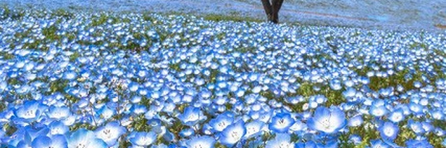 yabhow's profile banner image