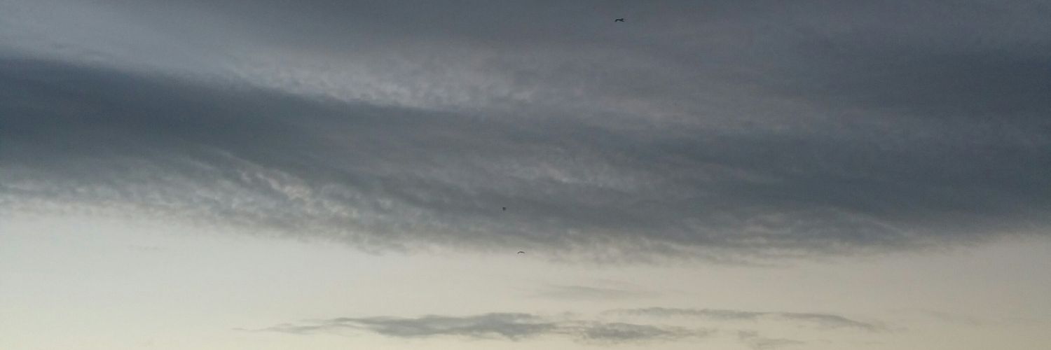BossDre05's profile banner image