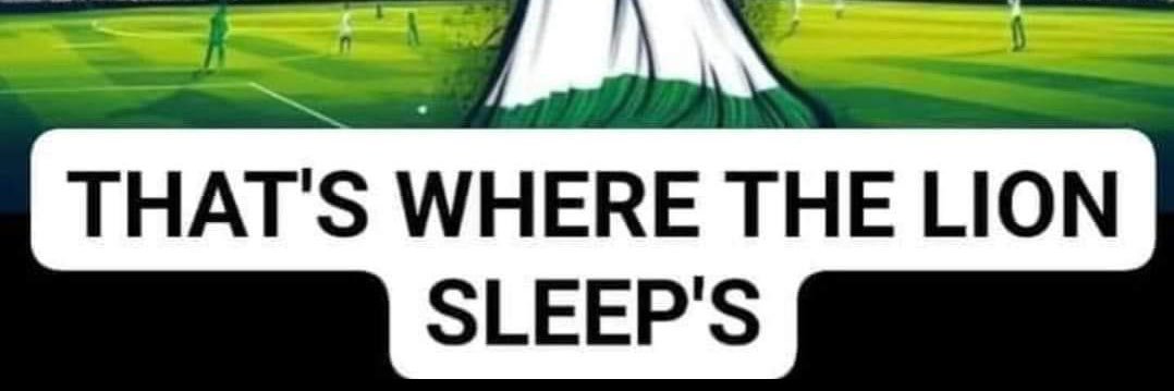 geohaney's profile banner image