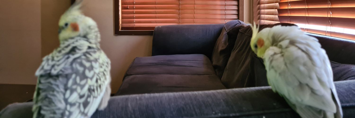 nicolehamson's profile banner image