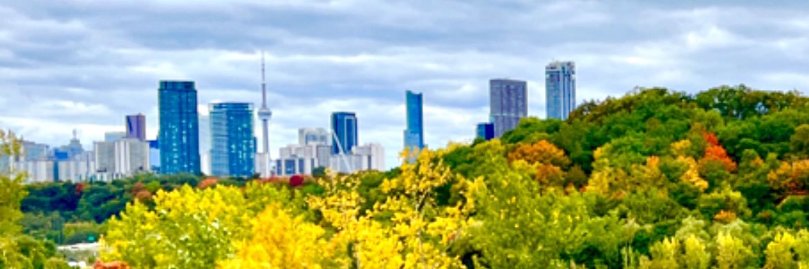 AllisonM_Hurst's profile banner image
