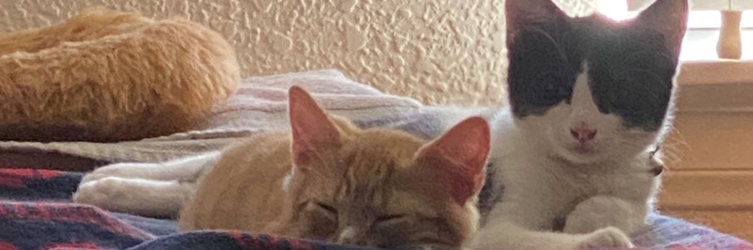 Solar☀️ banner
