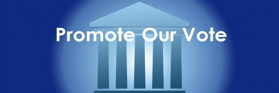 PromoteOurVote's profile banner image
