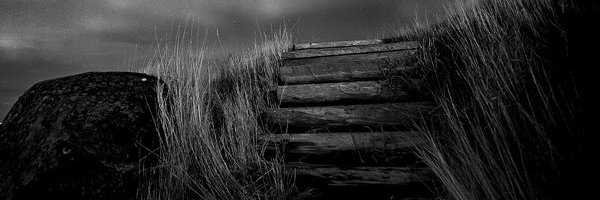 duggie_aa's profile banner image