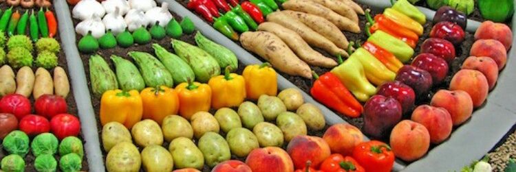 Food for Life Leicestershire banner