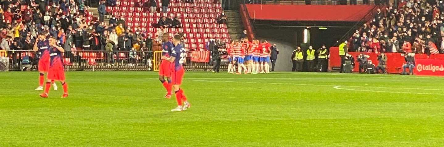 Marcelo Fernández Figueroa banner