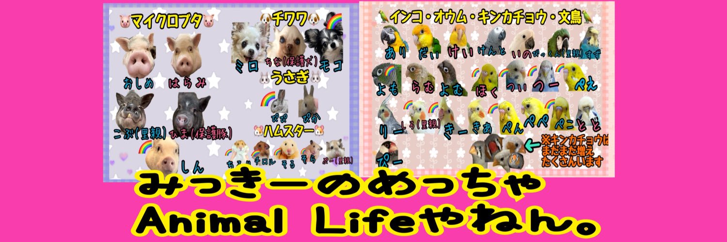 みっきー。(美樹)(自宅を小さな保護施設にしたい) banner