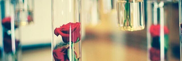 sami50183's profile banner image