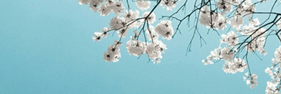 e_salmasi's profile banner image