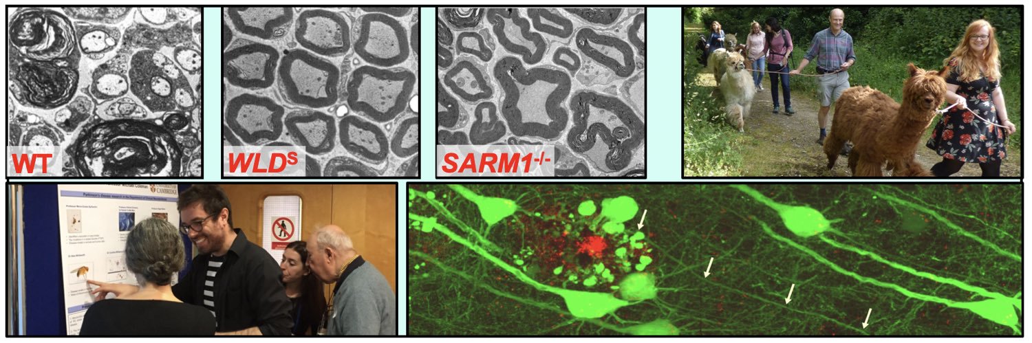 Michael Coleman banner