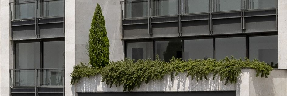 SamaneMozafar's profile banner image
