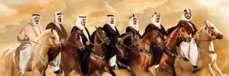 aalmohaya's profile banner image
