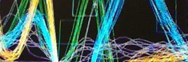 DLBarack Profile Banner