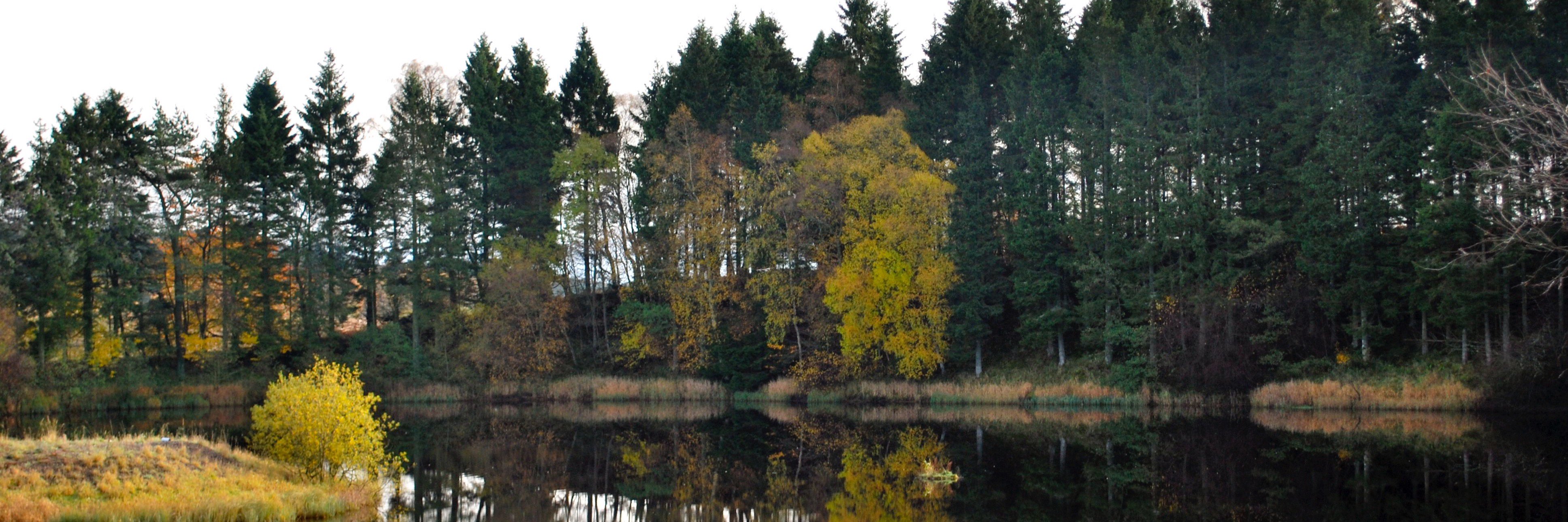 kielder's profile banner image