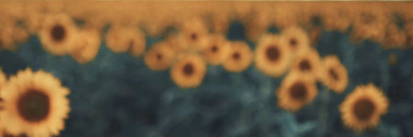 Daniela_ashleya's profile banner image