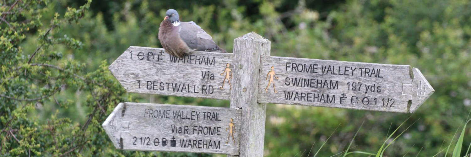 R Goad Photography 🇬🇧🏴󠁧󠁢󠁥󠁮󠁧󠁿📷 banner