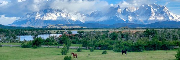 YinCuiCV Profile Banner