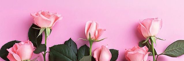 _briannaxf's profile banner image