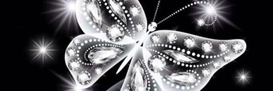 winterlo's profile banner image