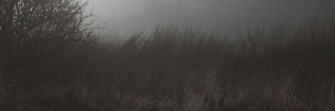 kyselina's profile banner image