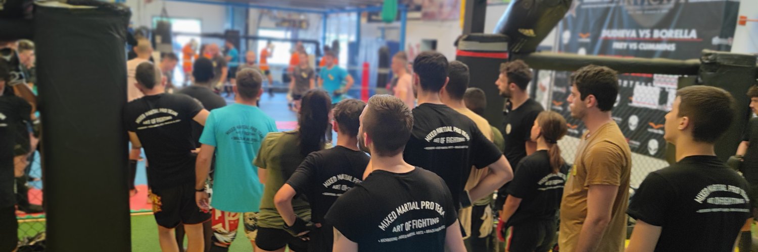 MixedmartialPROteam banner