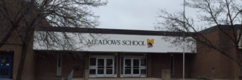 Meadows School banner