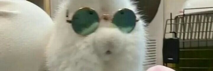 escrava em libertação banner