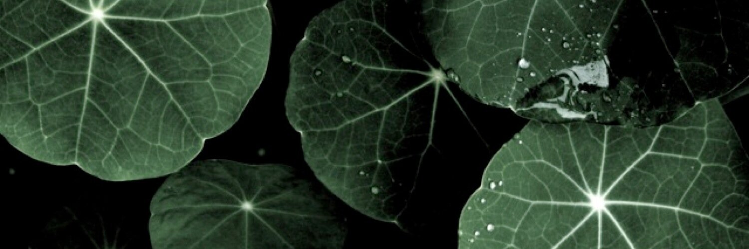lfein1's profile banner image