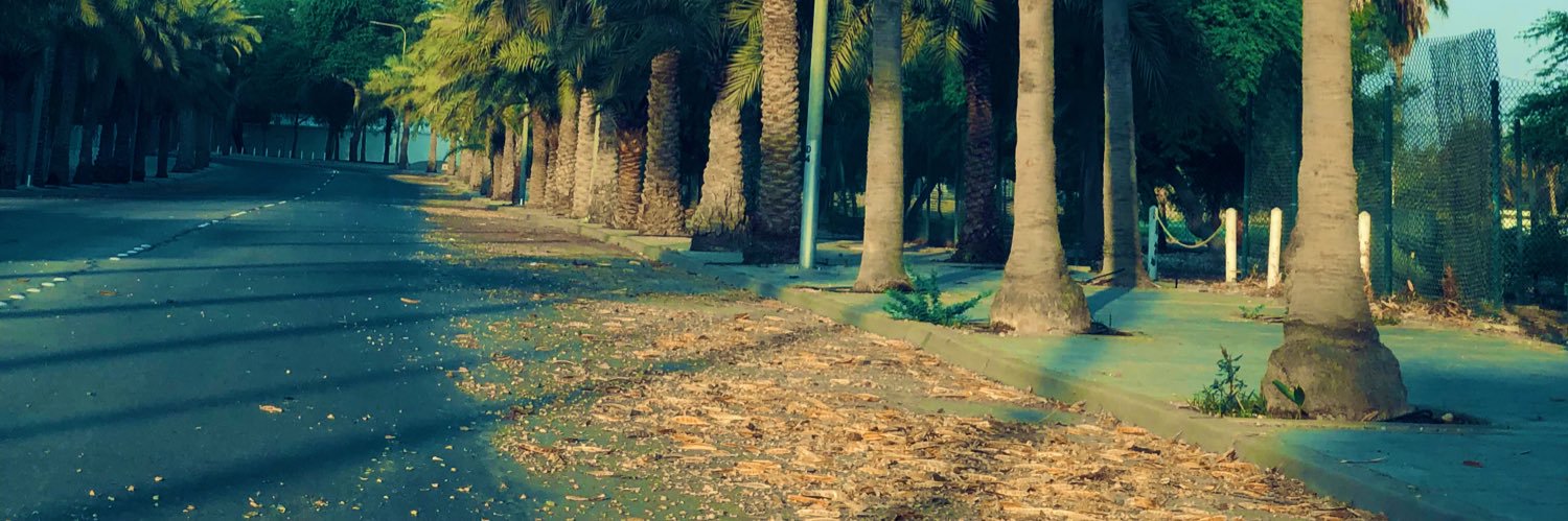 skilfull444's profile banner image