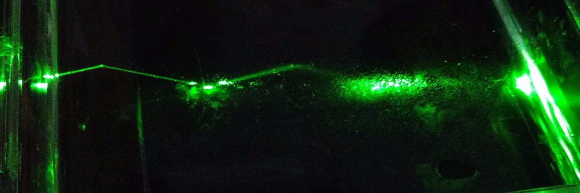 Michael Lerner banner