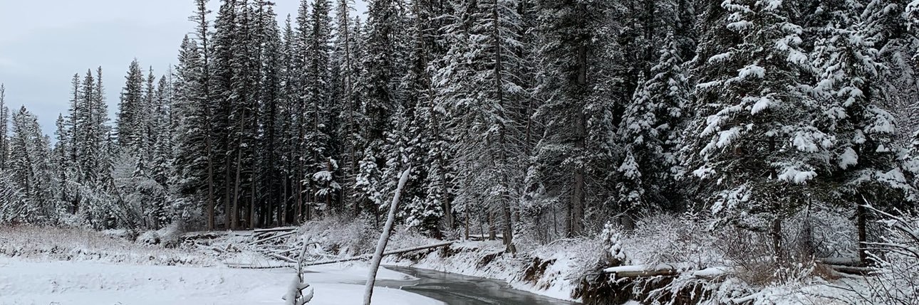 ✨ 𝐒𝐨𝐧𝐢𝐚✨🌱 banner