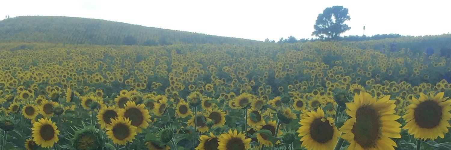 CrakMeUp's profile banner image