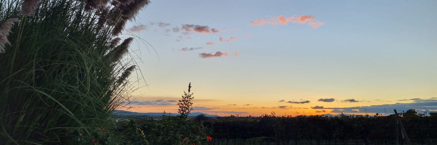 azdaja13's profile banner image
