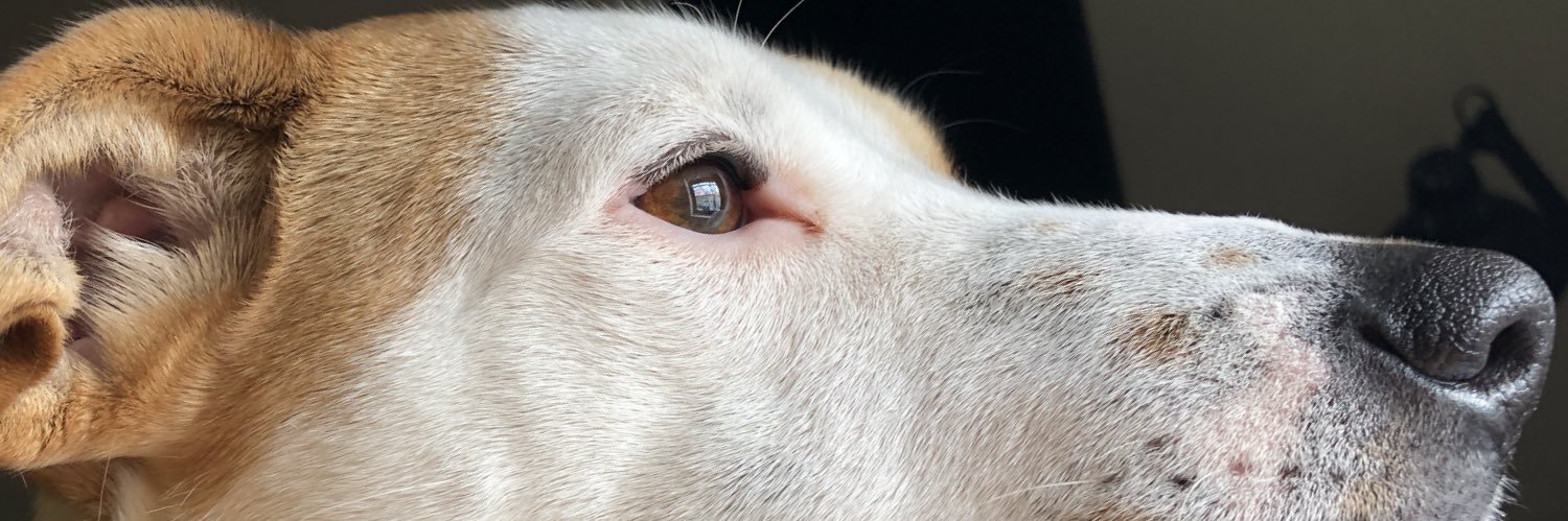 dea__7's profile banner image