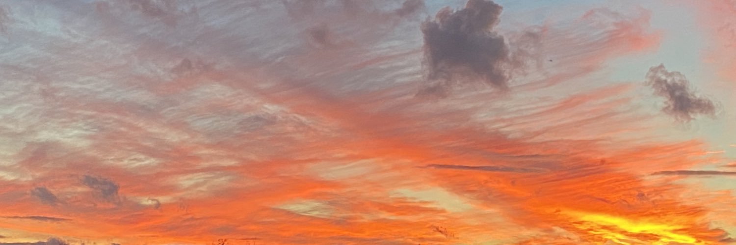 ElenaMoranHidal's profile banner image
