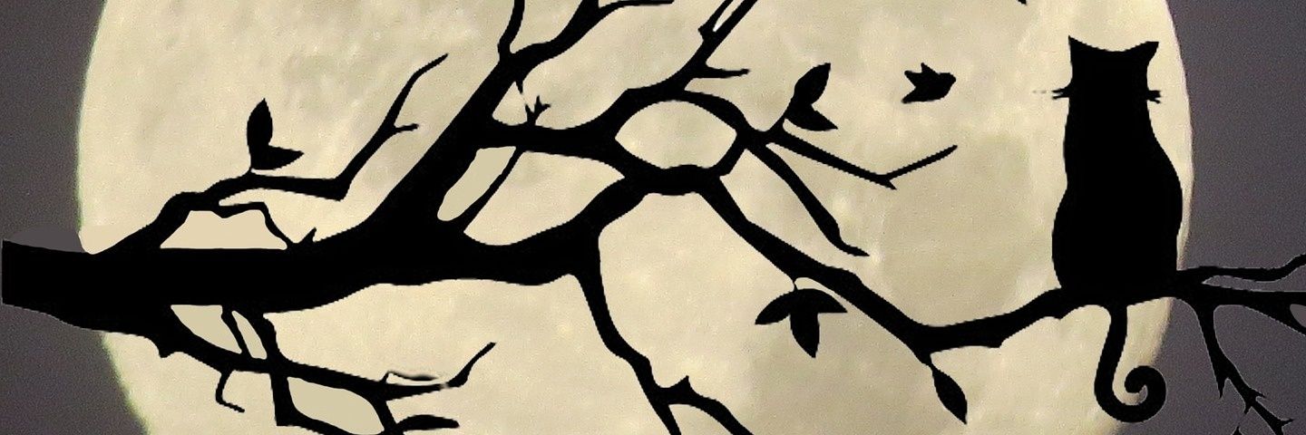 Moonlitelynn's profile banner image