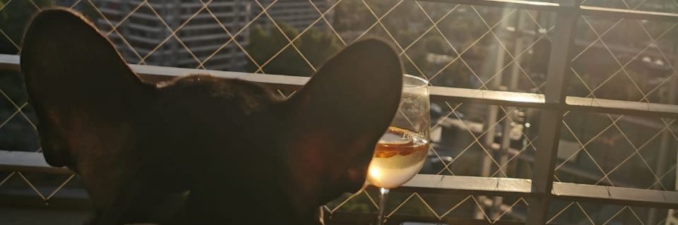 esdonoso_'s profile banner image