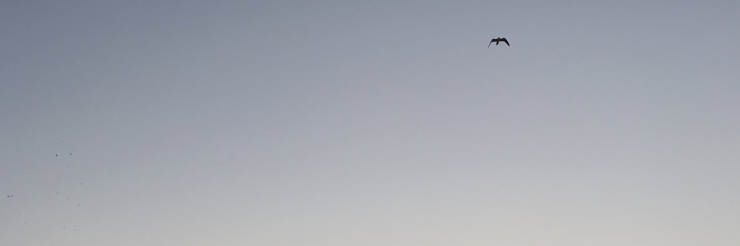slvAlejandro's profile banner image
