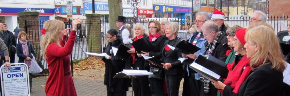 Vocalizechoir's profile banner image