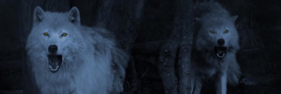 GovanKilgour's profile banner image
