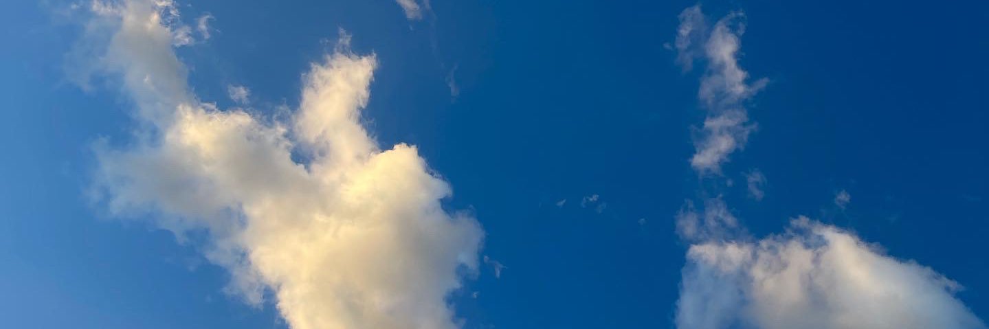vale__jones's profile banner image