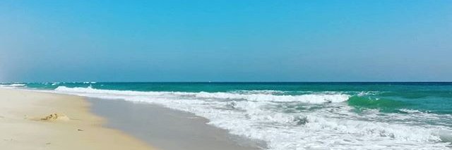 Milly_ca's profile banner image