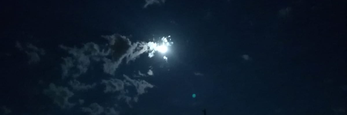 eraydinemree's profile banner image