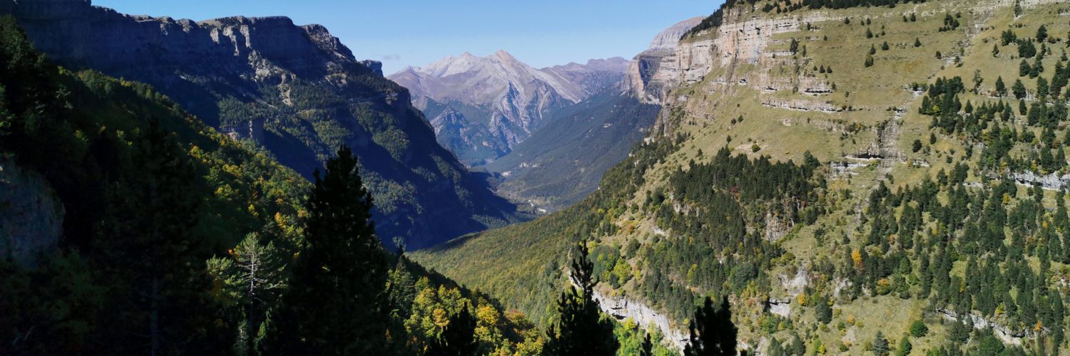 Alba Viana Soto banner