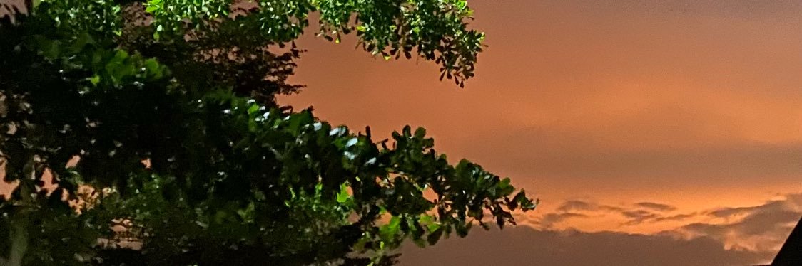 Treetrunkscoded's profile banner image
