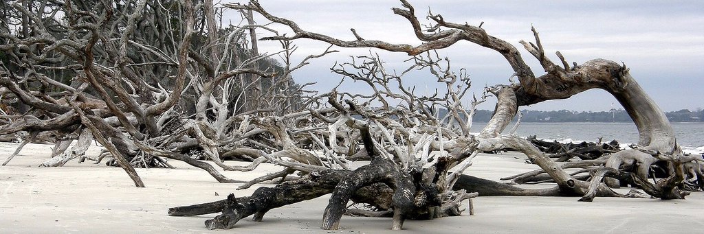 Christian Cali banner