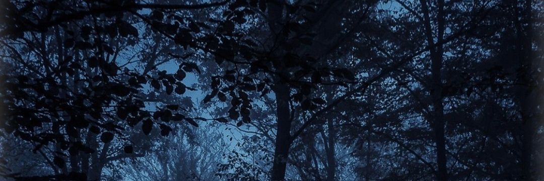 _Azvet_'s profile banner image
