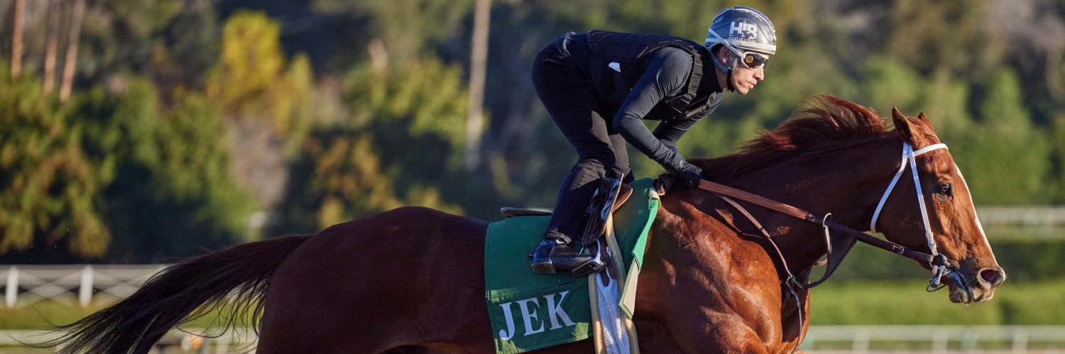 Hector Isaac Berrios banner