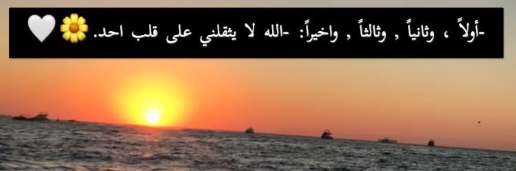 MNAL_Al97's profile banner image