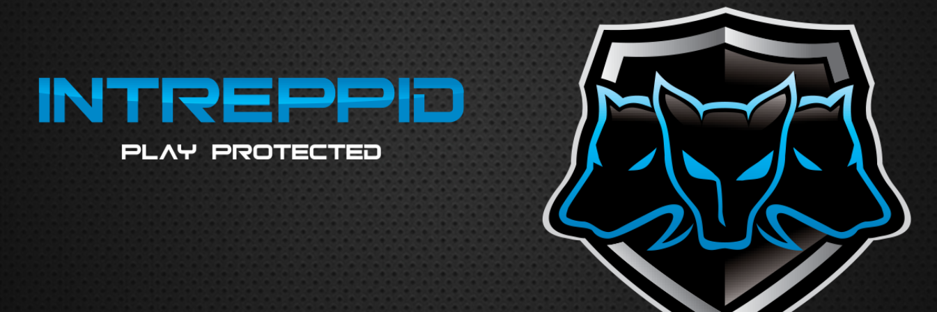 Intreppid's profile banner image